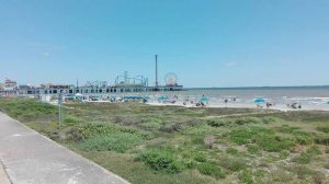 "Luinesi all'estero", Alessia Musso a Houston lavora come broker assicurativo