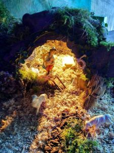 A Dumenza torna il "Presepe della Piazza"