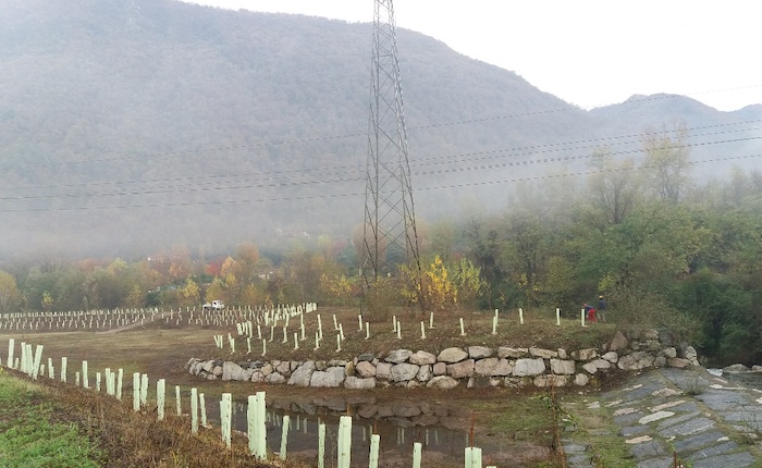 Un nuovo bosco sul fondovalle della Valcuvia, serie di interventi per migliorare l'ambiente