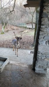 Agra, "Vogliamo ridare vita e dignità al Parco Daini, più fruibile e a misura delle famiglie"