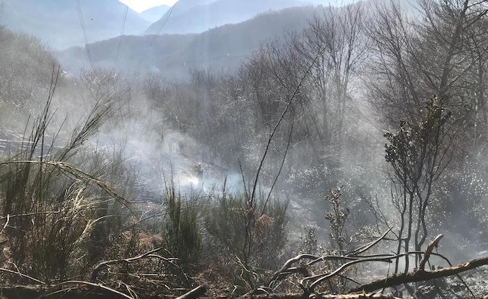 Lombardia, sale l'allerta per incendi boschivi anche nell'Alto Varesotto