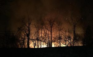 Vasto incendio nel bosco tra Montegrino e Cugliate
