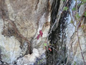 Frana tra Luino e Maccagno, aperta unità di crisi. Strada chiusa almeno fino a domani
