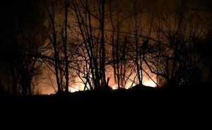 Vasto incendio nel bosco tra Montegrino e Cugliate