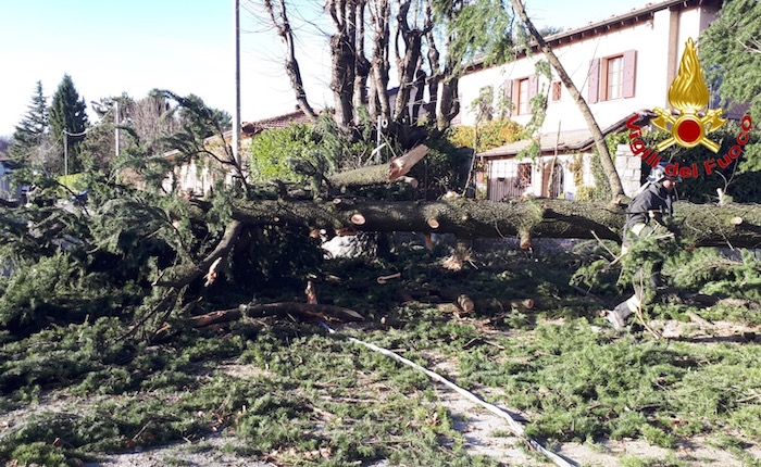 Vento forte, oltre trenta interventi dei vigili del fuoco sul territorio