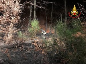 Vasto incendio nel bosco tra Montegrino e Cugliate