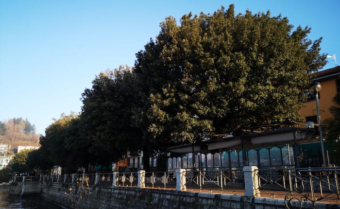 Laveno Mombello, Legambiente: 