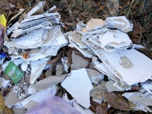 "Dal comune alla stazione, punti di Luino sporcati da rifiuti ed escrementi"