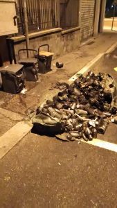 Rifiuti bruciati in centro a Luino, distrutto un cassonetto