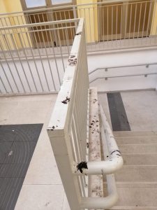 "Dal comune alla stazione, punti di Luino sporcati da rifiuti ed escrementi"