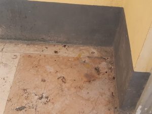 "Dal comune alla stazione, punti di Luino sporcati da rifiuti ed escrementi"
