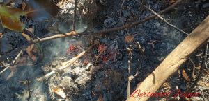 Ancora fiamme tra Montegrino e Cugliate, pompieri e squadre antincendio al lavoro