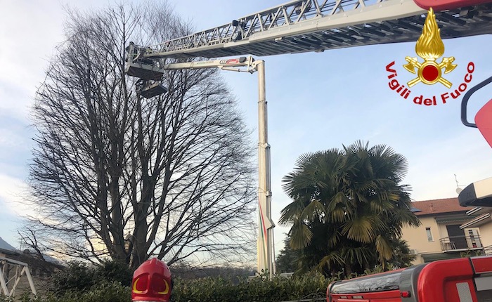 Mentre potano un albero rimangano incastrati tra i rami, salvati dai vigili del fuoco