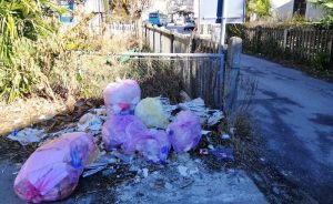 "Dal comune alla stazione, punti di Luino sporcati da rifiuti ed escrementi"