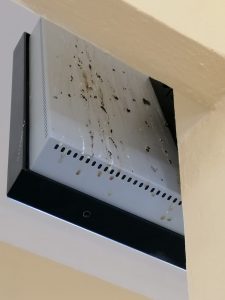 "Dal comune alla stazione, punti di Luino sporcati da rifiuti ed escrementi"