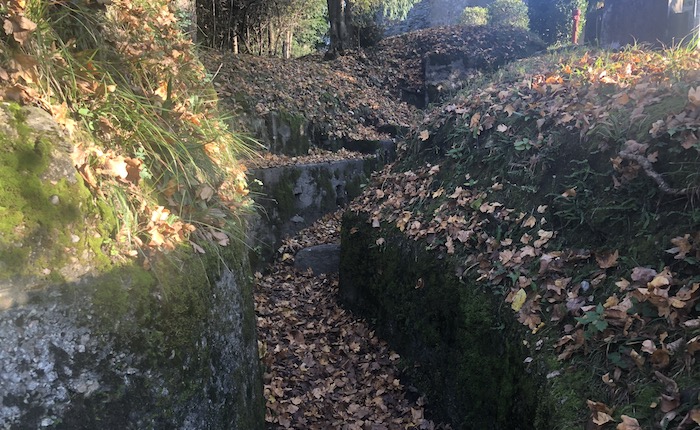 Gli Alpini di Luino sul Monte Orsa per visitare alcuni tratti della Linea Cadorna
