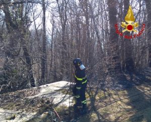 Incendio in un bosco di Cunardo, intervengono i vigili del fuoco