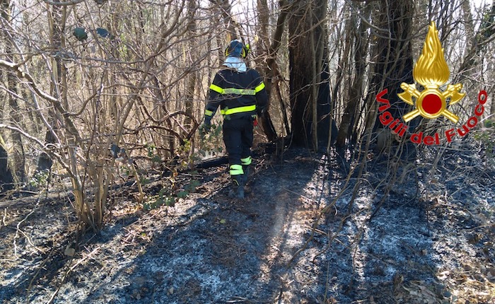 Incendio in un bosco di Cunardo, intervengono i vigili del fuoco