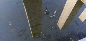 Luino, "Pessimo lo stato delle fontane di Piazza Libertà: acqua putrida e maleodorante"