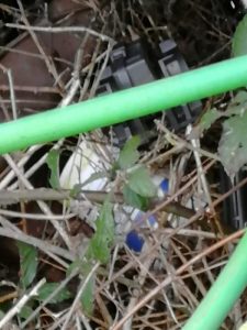 Luino, "Troppi rifiuti davanti casa nell'area ferroviaria"