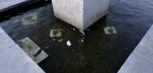 Luino, "Pessimo lo stato delle fontane di Piazza Libertà: acqua putrida e maleodorante"