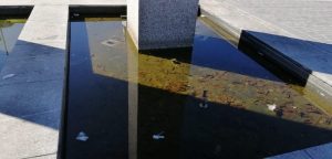 Luino, "Pessimo lo stato delle fontane di Piazza Libertà: acqua putrida e maleodorante"