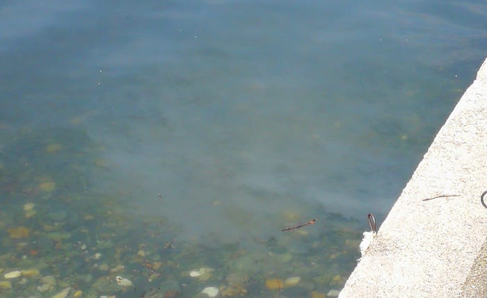 Luino, ancora acqua torbida nel lago
