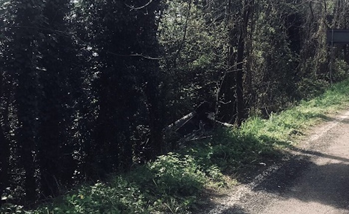Ticino: furgone in una scarpata, 29enne in grave condizioni