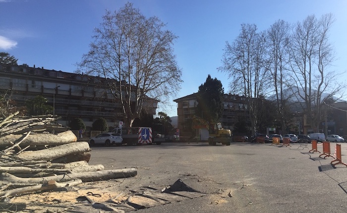 Viale Dante taglio alberi