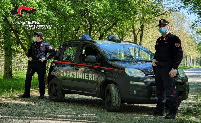Carabinieri Forestale Lombardia: i controlli non si fermano neanche durante le festività Pasquali