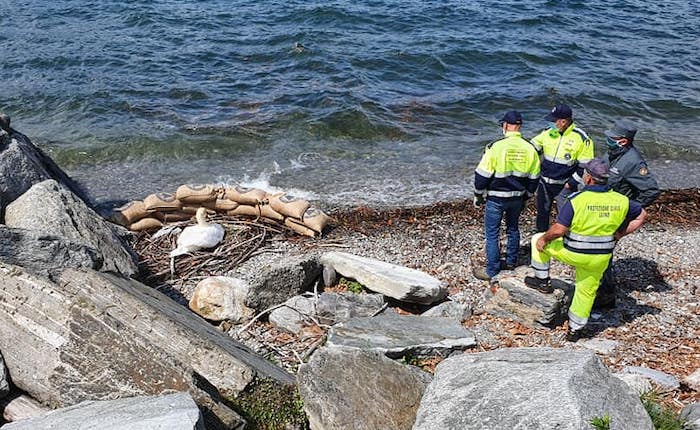 Lungolago di Luino, l'acqua insidia la