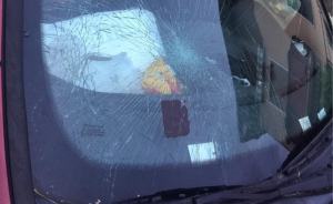 Gravi danni alla vettura coinvolta nello scontro, fortunatamente non ci sono feriti e il cervo riesce a fuggire apparentemente illeso