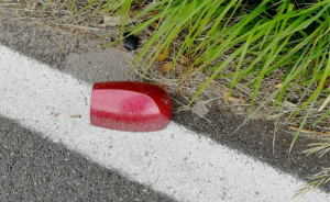 Gravi danni alla vettura coinvolta nello scontro, fortunatamente non ci sono feriti e il cervo riesce a fuggire apparentemente illeso