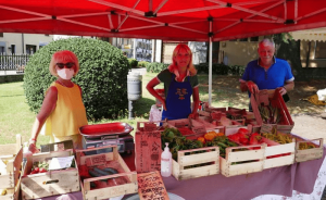 Cuveglio, tornano i mercatini a Km 0