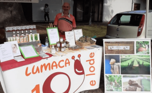 Cuveglio, tornano i mercatini a Km 0