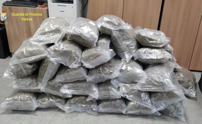 Sequestrati 53kg di marijuana nel Varesotto, arrestato un uomo