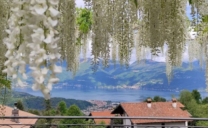 arte tra i laghi