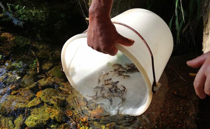 Pescatori Alto Verbano