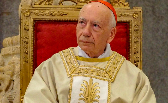 cardinale coccopalmerio