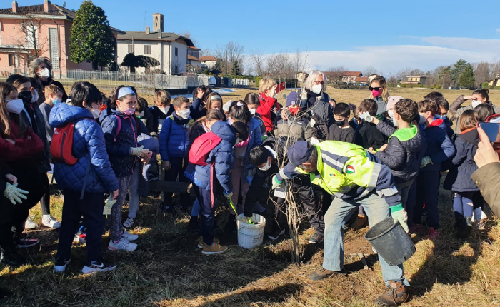 fondazione ascoli melograni (1)