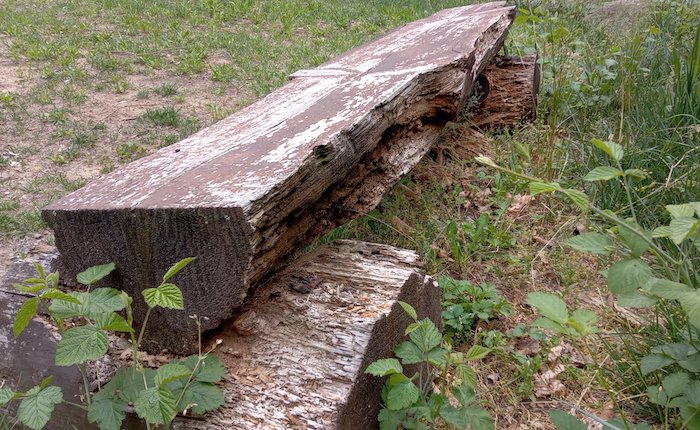 Strade Pulite: «Da Grantola a Ferrera, chiediamo più manutenzione e pulizia»