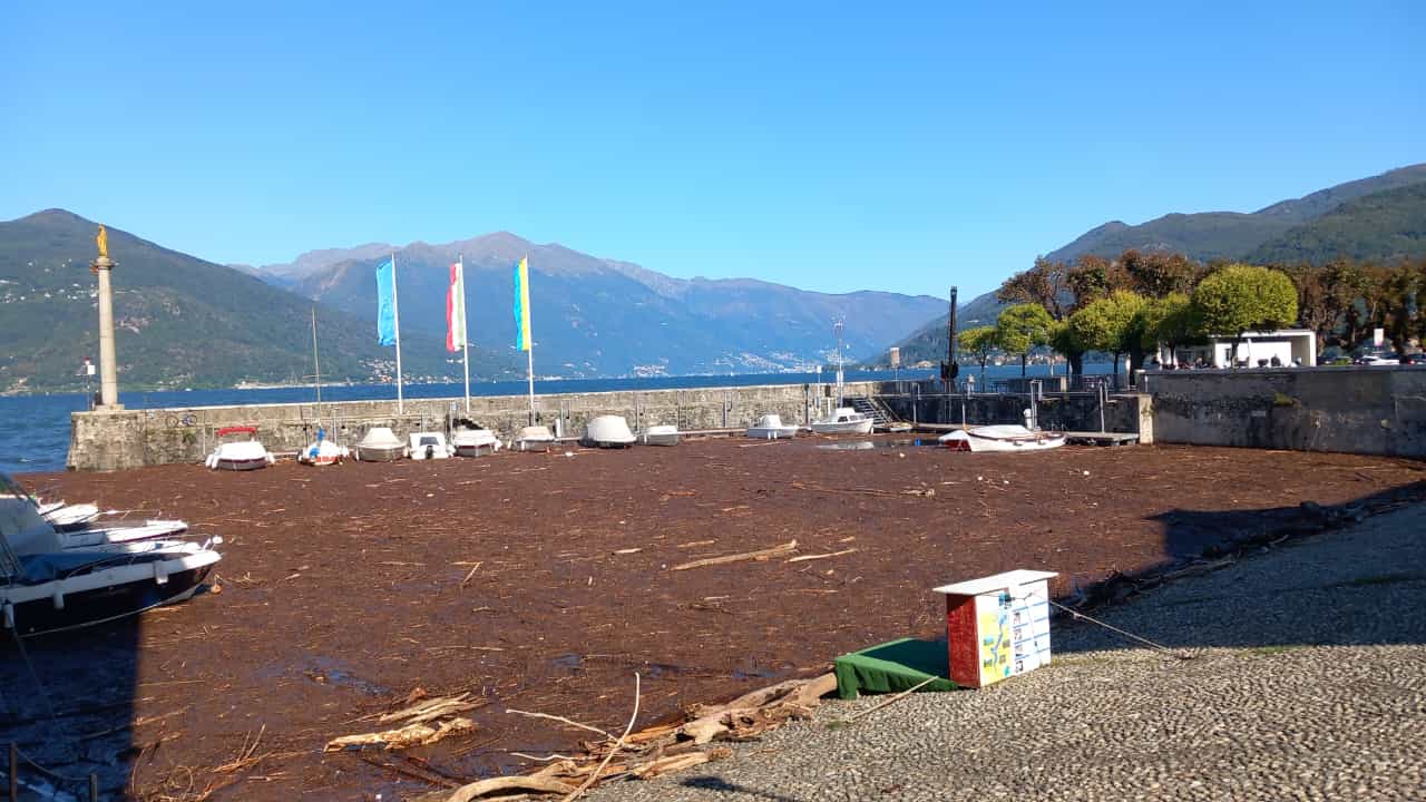Luino Notizie Oggi Notizie Ultima Ora Oggi In Tempo Reale