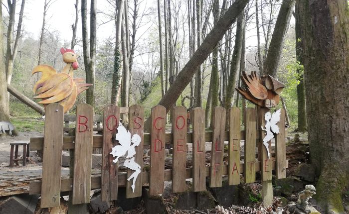 bosco delle fate germignaga