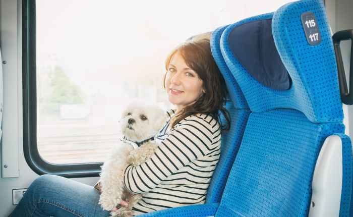 cane treno
