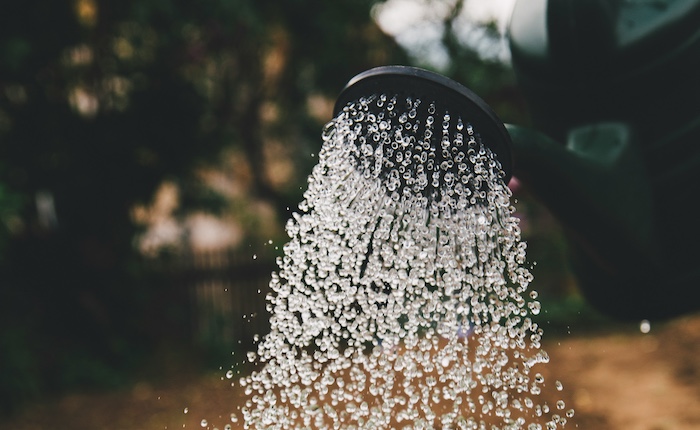 Il benessere attraverso la natura: riscoprire l’equilibrio lontano dalla frenesia
