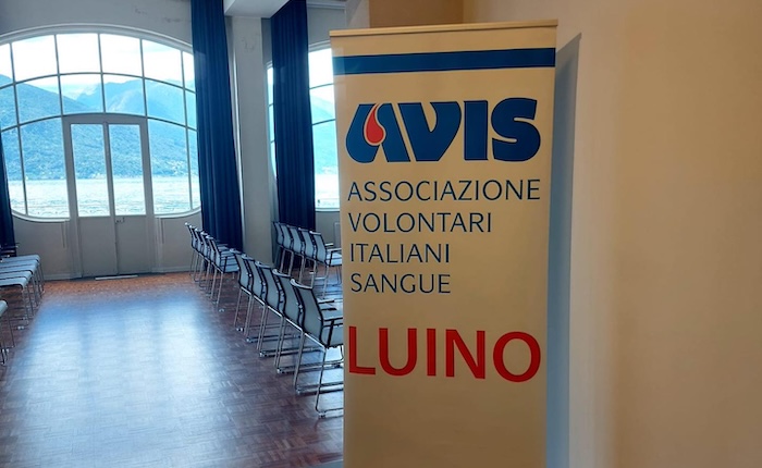 Avis Luino