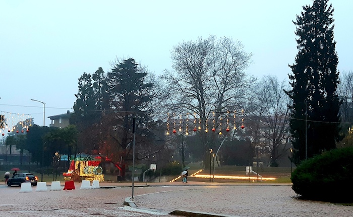 Luino, Pellicini chiede chiarimenti sull'abbattimento degli alberi di Parco Ferrini