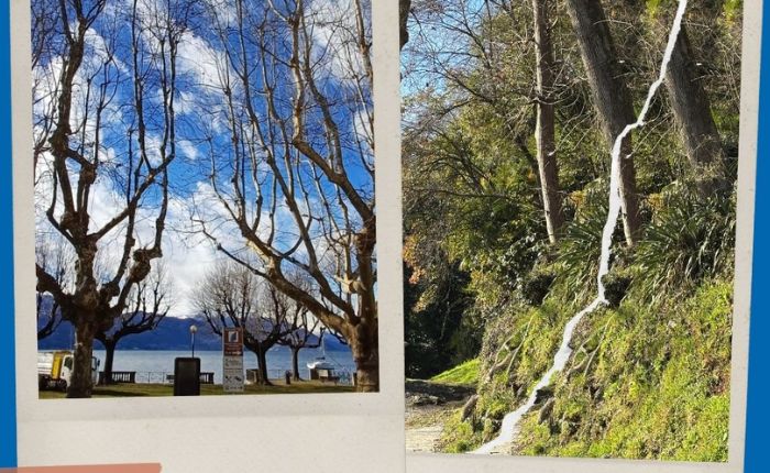 alberi laveno