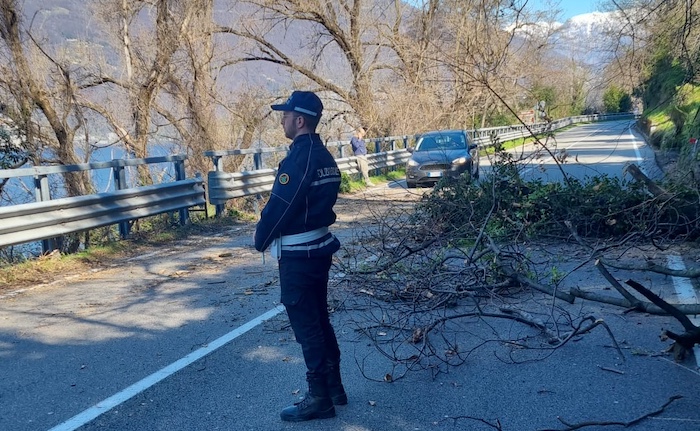 Cade albero sulla statale tra Maccagno e Zenna e colpisce un'auto: disagi al traffico