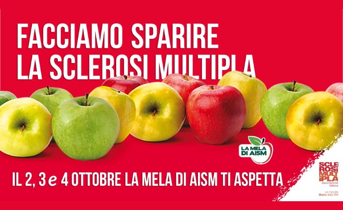 mele aism
